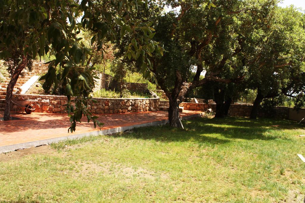 Villa Suber Sperlonga Bilik gambar